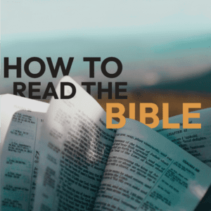 How to Read the Bible